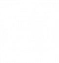Calzado